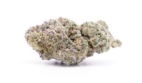 HASHBURGER BIGS THCA HEMP FLOWER